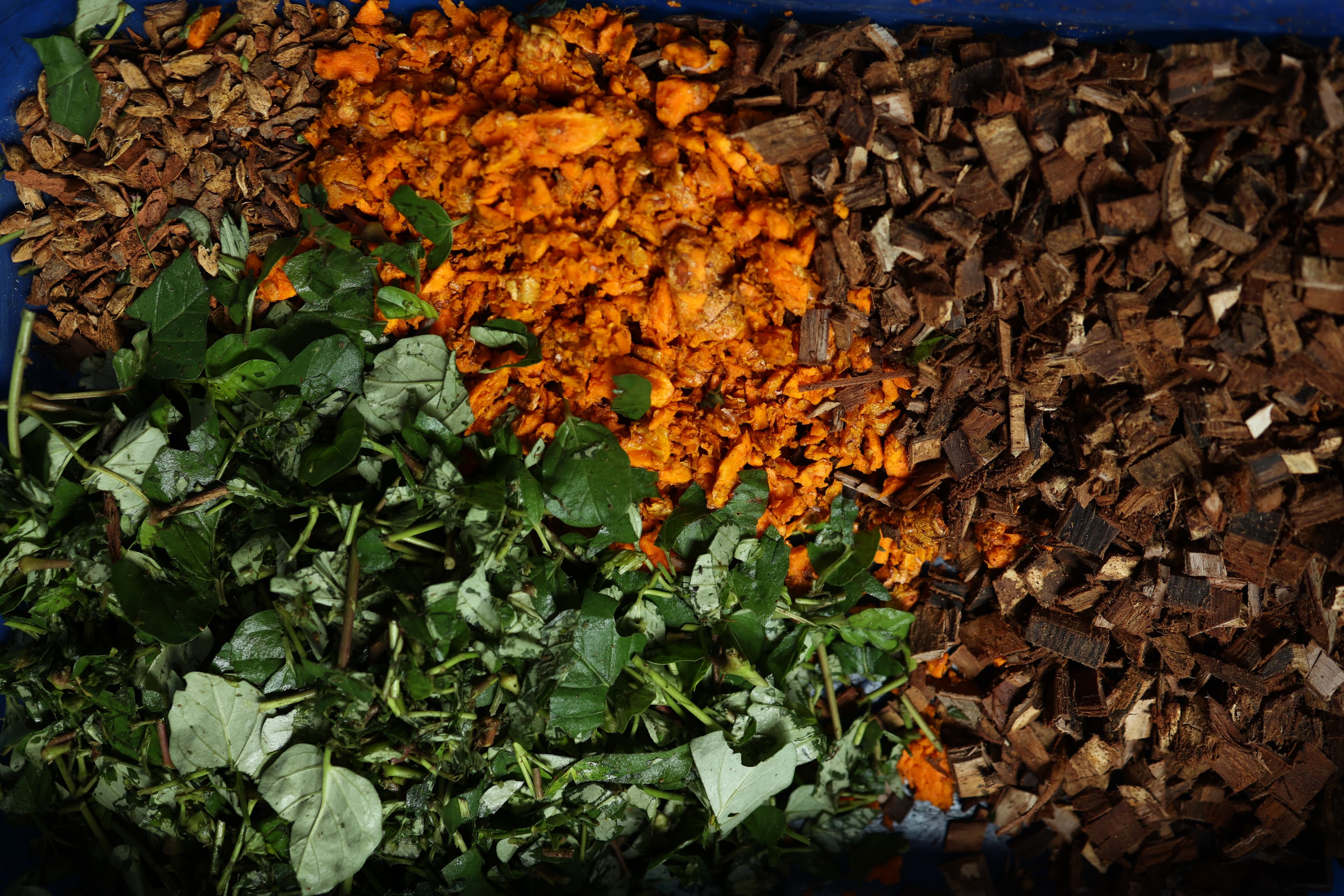 Natural herbal remedies