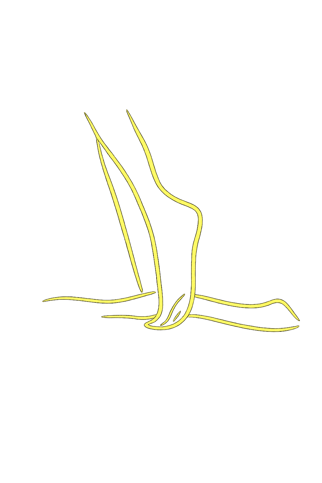 Marma treatment on the leg